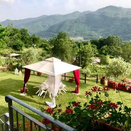 Agriturismo Il Frutteto Ghivizzano Exteriör bild